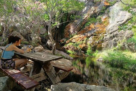 Explore Naxos Waterfall and Enjoy a Traditional Full Meal,Private