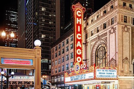 Iconic Action Film and Movie Locations 1 Day Tour in Chicago