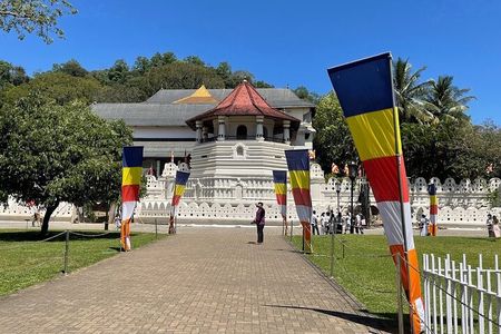 Kandy Full Day Tour from Colombo and Negombo and CMB Airport