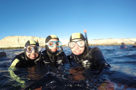 Snorkeling with Sea Lions