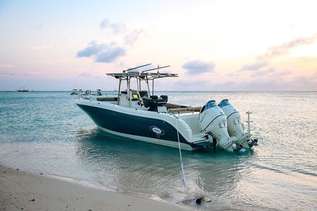 3 Hours Private Charter Includes Snorkeling & Swim with turtles