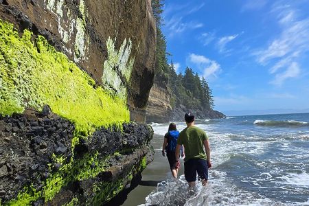 West Coast Wildlife Rainforest Waterfall and Beaches