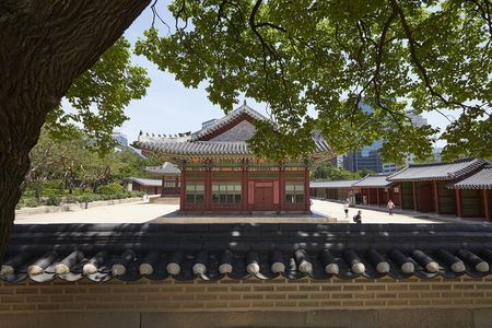 Highlights of Seoul Tour in Seoul: Deoksugung & N Seoul Tower