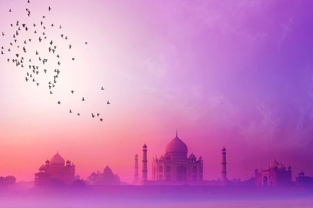 Golden Triangle with Tiger Safari (8 Days)