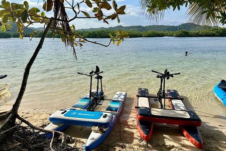 Siargao Sunset Paddle Board and Firefly Watching