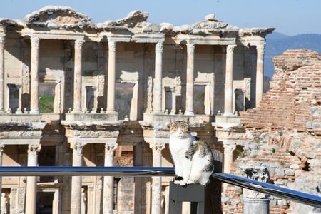 Luxury Ephesus Tour Departing from Kusadasi Port