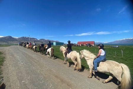 Horse Riding Tour and Explore Scenery in Gásir Akureyri