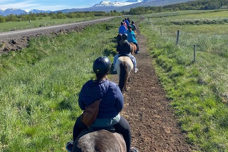 Horse Riding Tour and Explore Scenery in Gásir Akureyri