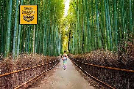 Kyoto Arashiyama Walking Tour - Bamboo, Monkeys, Temple & Secrets