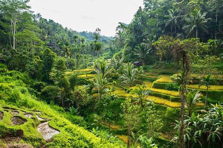 Private East Bali Highlights Tour with Customizable Itinerary