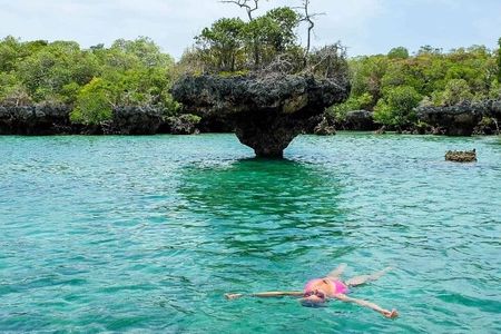 Zanzibar Full day Private tour Safari blue & Seafood BBQ Sunset