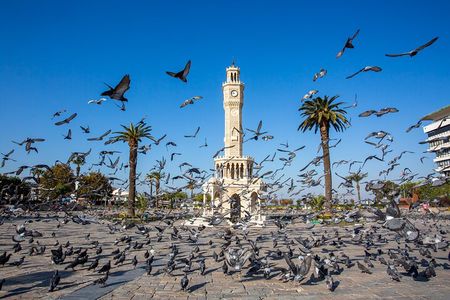 8 Days Moroccan Tour: Casablanca to Marrakech via Merzouga Desert