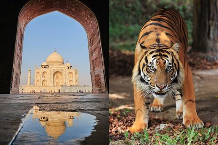 8 Days Delhi Agra Ranthambore Udaipur Jodhpur Jaipur Tour