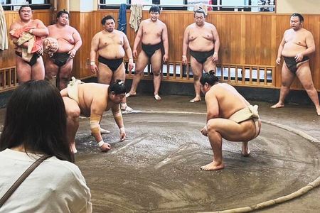 Tokyo Morning Sumo Practice Viewing Tour at a Real Stable