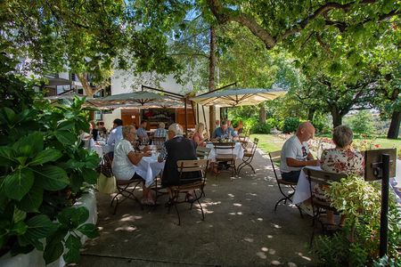 Full Day Stellenbosch Wine Tour with Tastings