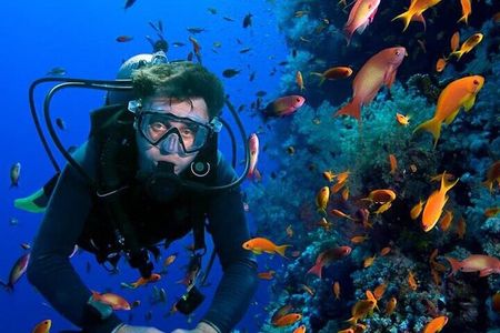  Open Water PADI Course Diving in Red Sea - Hurghada