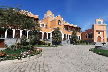 ICA: All-Inclusive Tacama and Caravedo Experience with Lunch