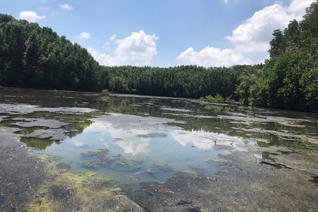 Private Tour Can Gio Mangrove Biosphere 