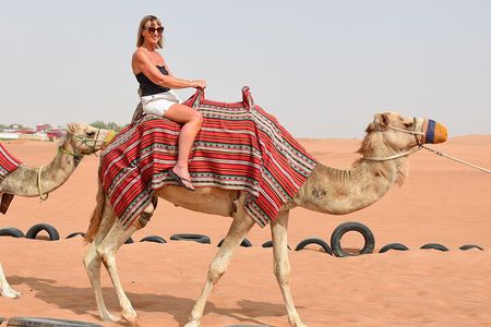 Thrilling Morning Red Dune Desert Safari with Camel Ride in Dubai
