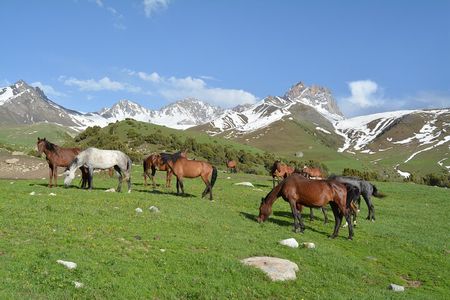 2-Day Kichi Alay Mountain Hiking Tour with Overnight Stay 