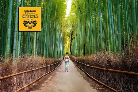 Kyoto Arashiyama Walking Tour - Bamboo, Monkeys, Temple & Secrets