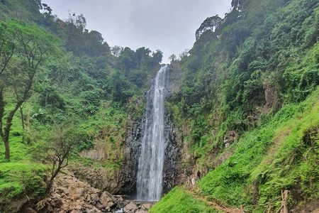 Materuni waterfalls, Hot Lunch and Coffee Tour Half Day.