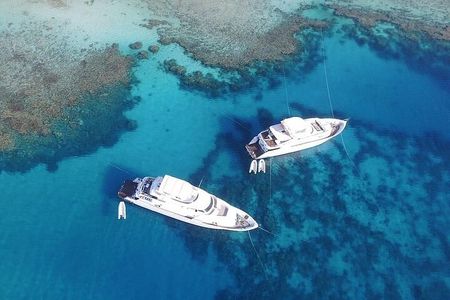 Tiran Island Two Dive Stops Experience & Lunch - Sharm El Sheikh 