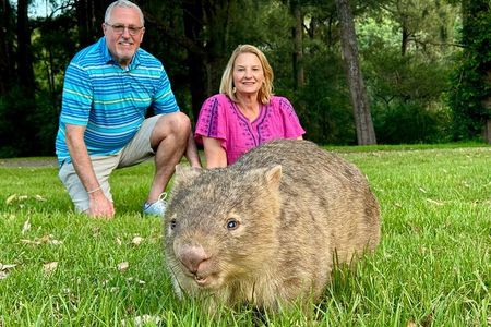 WILD Wombat and Kangaroo Day Tour, All Inclusive