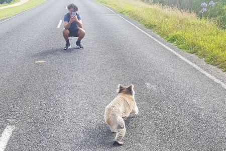 Great Ocean Road - Private Express Tour
