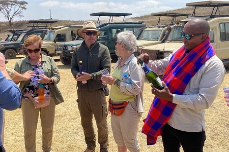 4 Day Northern Circuit Safari Tarangire, Serengeti and Ngorongoro