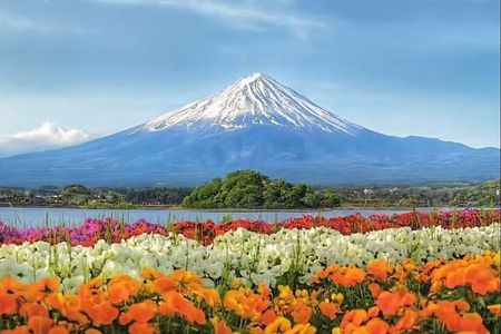 Mt.Fuji Arakurayama Sengen Park,Oshino Hakkai,Kawaguchi Lake Tour