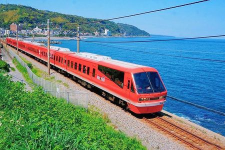 FromTokyo: Izu Scenic Oceanview Train, Volcano, Coast Day Trip