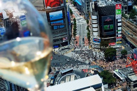 Unique Experience in Dynamic City Shibuya, 1 Day Includes All