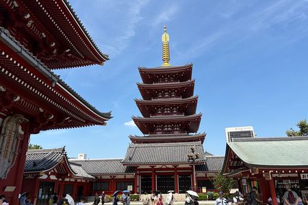 Tokyo Private Half-Day Tour by Car with Local Guide