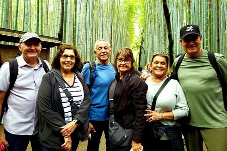 8 hours Arashiyama Monkey Park Ryoanji and Kinkaku ji Tour 