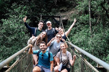 Super 7 Waterfalls and Natural Bridge Day Tour at Springbrook