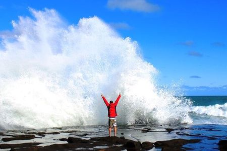 Dunedin to Te Anau via Catlins & Invercargill Small Group Tour 