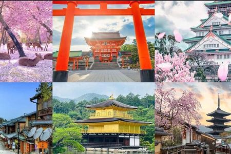 3 Day Private Osaka Kyoto and Nara Tour