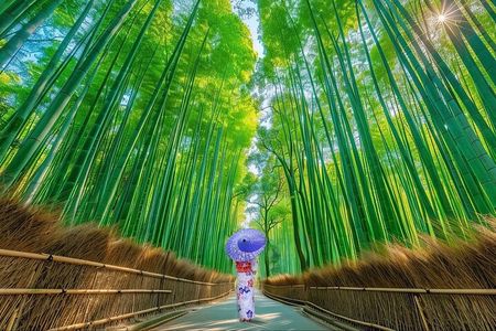 Kyoto Guided Private Tour 