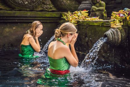 Full Day Tour Ubud Rice Terraces Waterfalls and Holy Springs