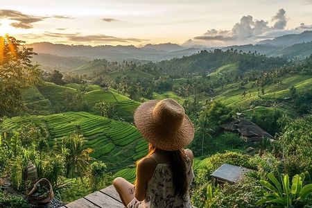  Bali UNESCO Rice Terrace, Bratan Temple and Hidden Waterfalls