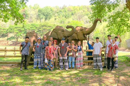 Chiang Mai Elephant Sanctuary and Sticky Waterfall Day Tour