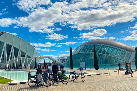 Private E-Bike City Tour of Valencia's History, Gardens
