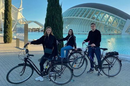 Private E-Bike City Tour of Valencia's History, Gardens