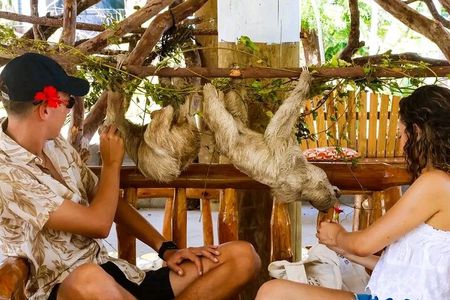 Wildlife adventure, Chocolate factory, city Tour & Beach Break 