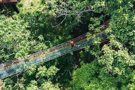 Sky Rock Khaolak Jungle Adventure Zipline Experience