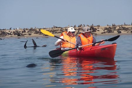 Pelican Point Kayaking Half-Day Tour