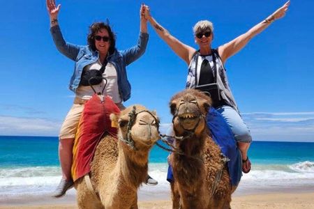  Tanger private tour cruise ship -up Luxury City Tour