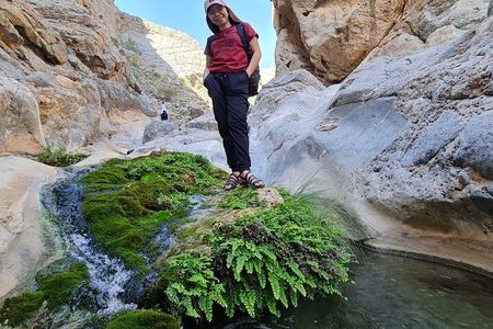 Explore Wadi Qurai Nature, Souq and Old Village, Hike and Swim