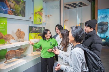 Museum of New Zealand Te Papa Tongarewa: Introducing Te Papa Tour